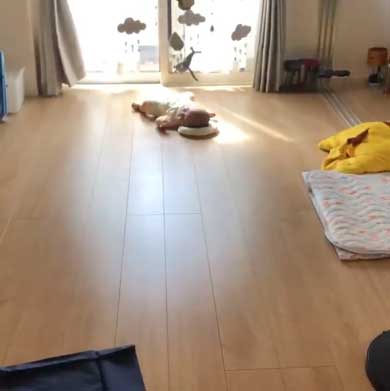 背ばい 日本代表 赤ちゃん 生後3カ月