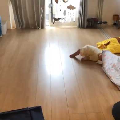 背ばい 日本代表 赤ちゃん 生後3カ月