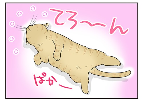 猫漫画