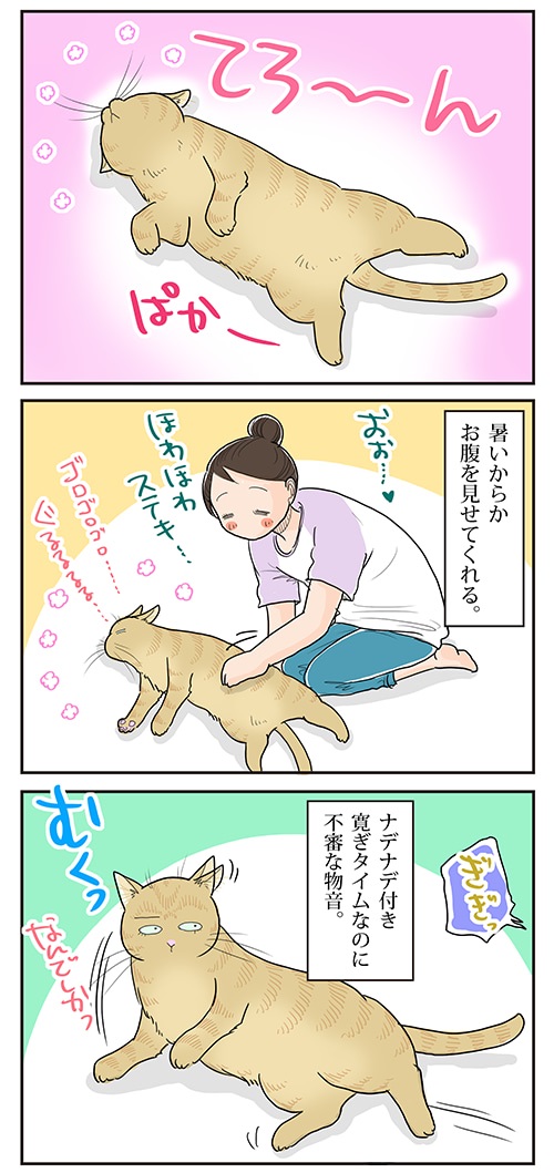 母さんは今日も世話をやく