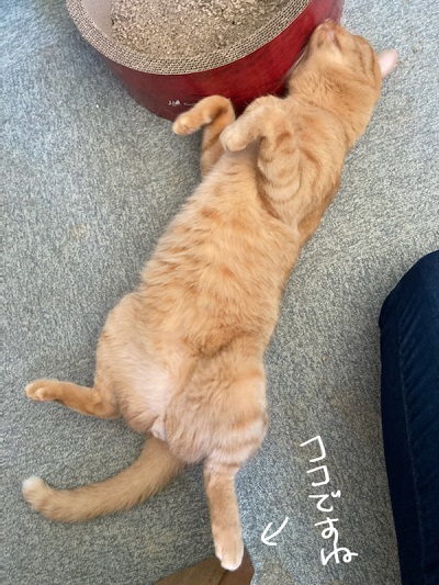 母さんは今日も世話をやく