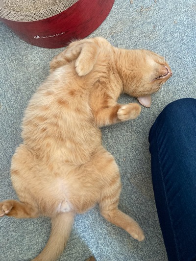 母さんは今日も世話をやく