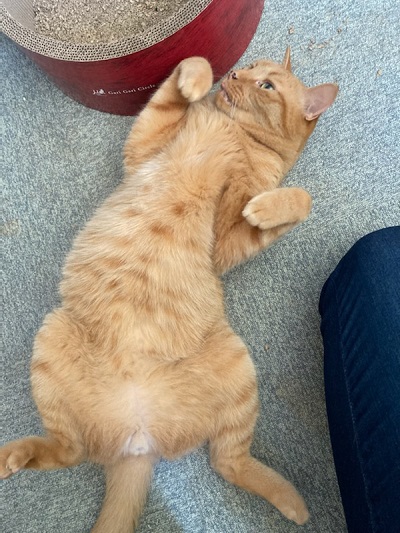 母さんは今日も世話をやく