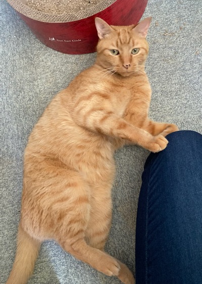 母さんは今日も世話をやく