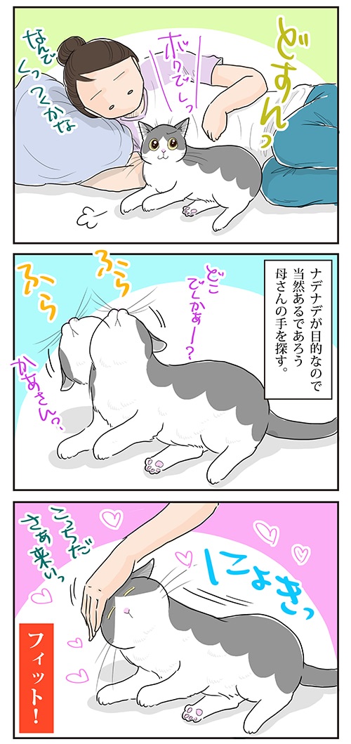 母さんは今日も世話をやく