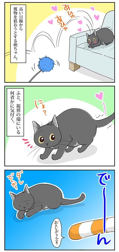 母さんは今日も世話をやく