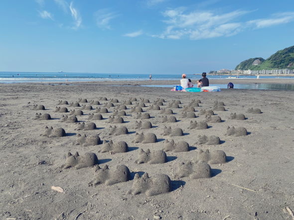 砂浜 ビーチ ネコカップチャレンジ 由比ガ浜