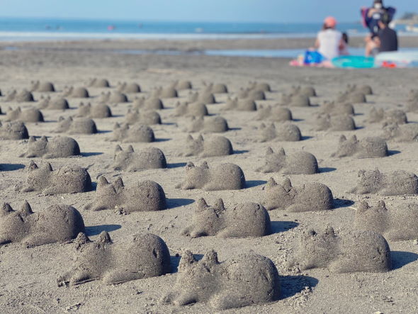 砂浜 ビーチ ネコカップチャレンジ 由比ガ浜