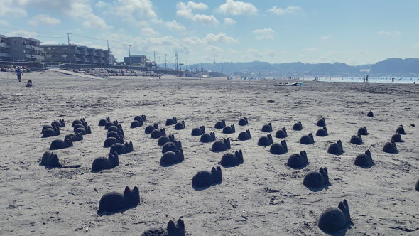 砂浜 ビーチ ネコカップチャレンジ 由比ガ浜