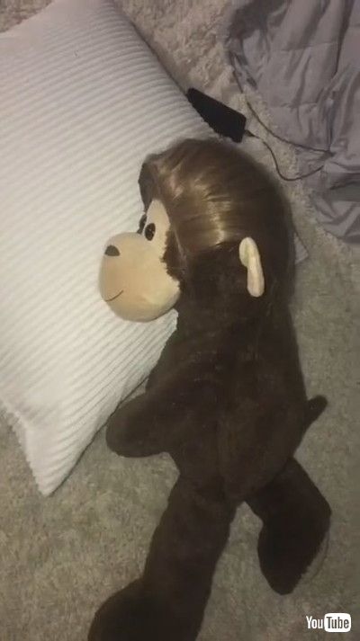 「Mom Makes Dummy of Herself With Stuffed Monkey to Trick Her Son to Sleep - 1211872」