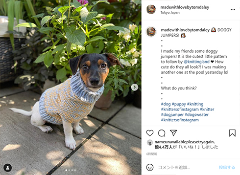 トム・デーリー トーマス・デーリー 編み物 ニット オリンピック 東京 五輪 金メダル