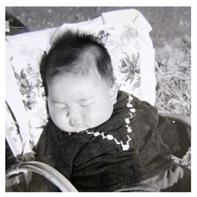 布川敏和 布川桃花 孫 夕結 似てる そっくり