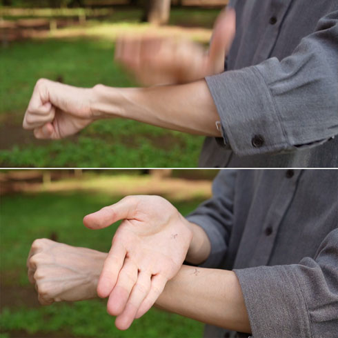 モスキートスタンプ