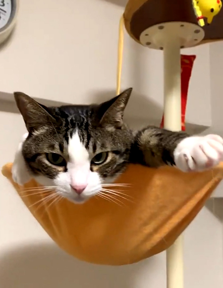 正面豆苗さんアップ