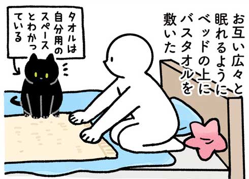 猫とベッドスペース問題