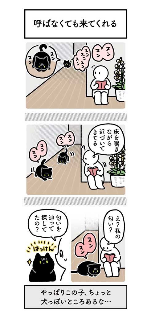 黒猫 ろん 寝る場所 分けあう 絵日記 漫画