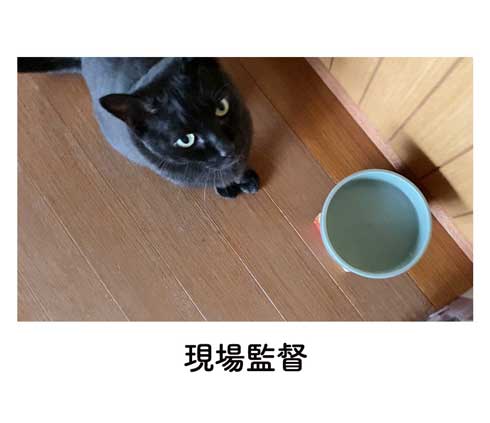 黒猫 ろん 寝る場所 分けあう 絵日記 漫画