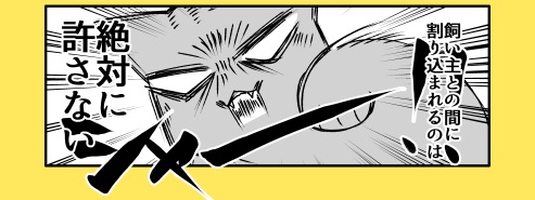 猫と子猫と沸点1