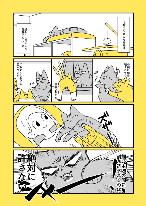 猫と子猫と沸点2