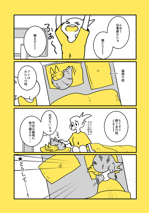 ほんとは仲良しな猫たち