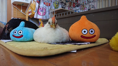 スライムめいちゃん