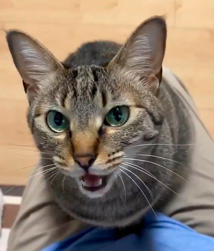 hiro@整体院キュベレイさん