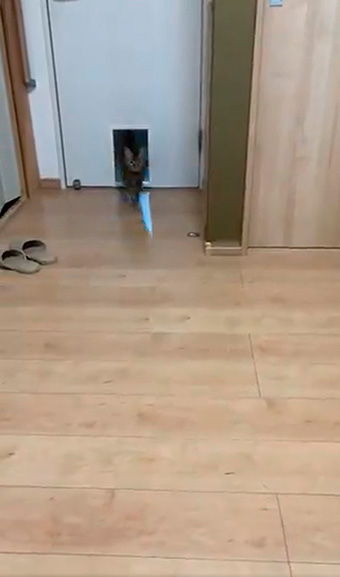 hiro@整体院キュベレイさん