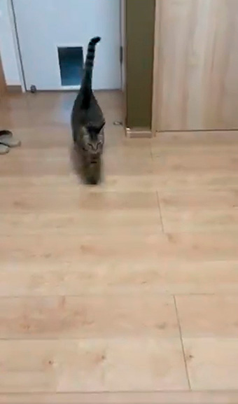 hiro@整体院キュベレイさん