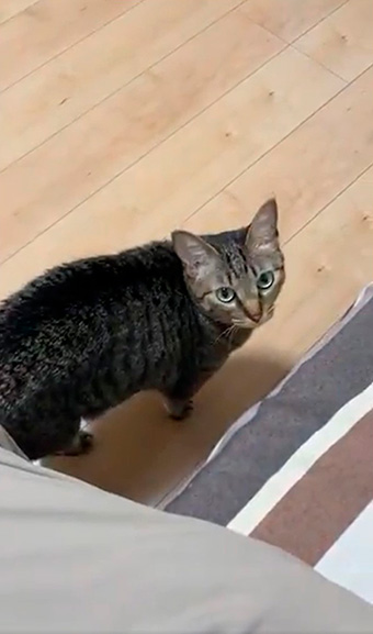 hiro@整体院キュベレイさん