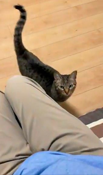 hiro@整体院キュベレイさん