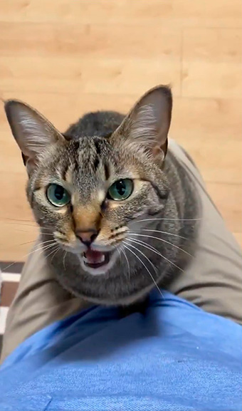 hiro@整体院キュベレイさん