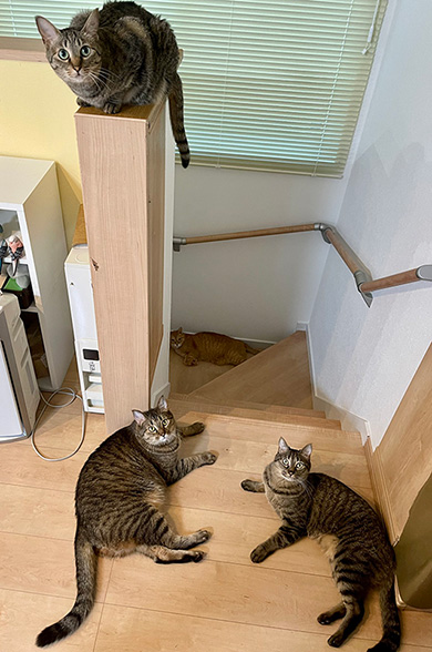 hiro@整体院キュベレイさん