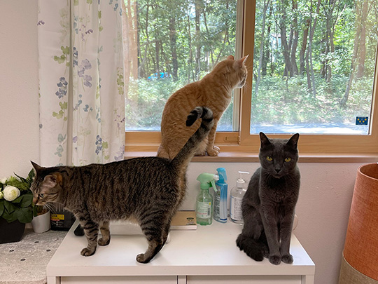 hiro@整体院キュベレイさん