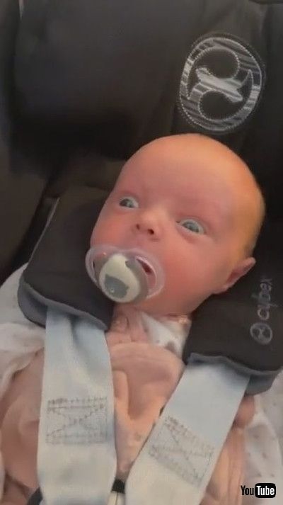 「Baby Drops Pacifier in Shock Over Seeing Pet Dog For First Time - 1213981」