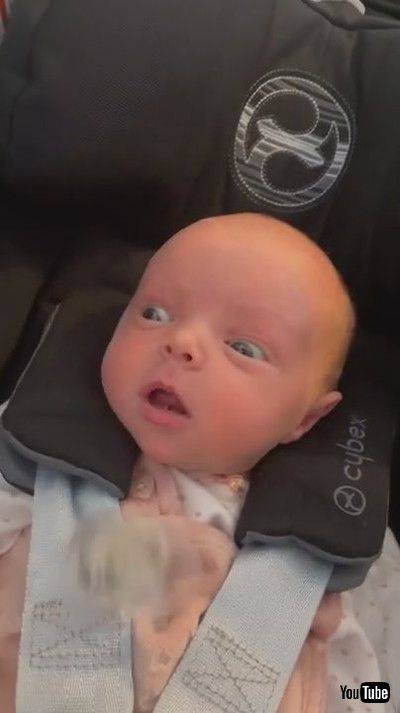 「Baby Drops Pacifier in Shock Over Seeing Pet Dog For First Time - 1213981」