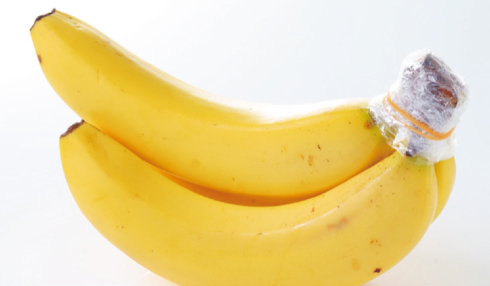 オーバンドガジェットポーチBOOK