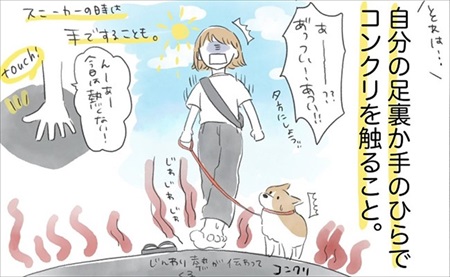 わんことのお散歩で気にして欲しいこと