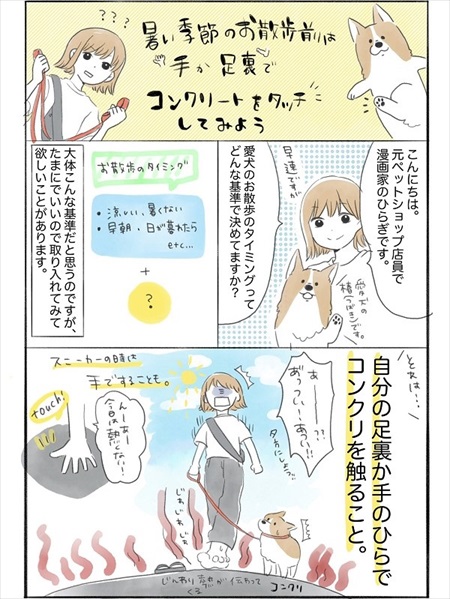 わんことのお散歩で気にして欲しいこと