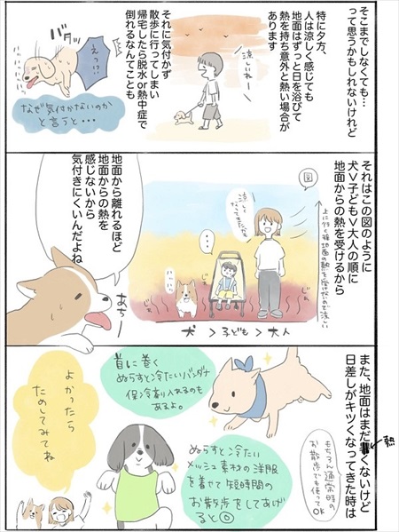 わんことのお散歩で気にして欲しいこと