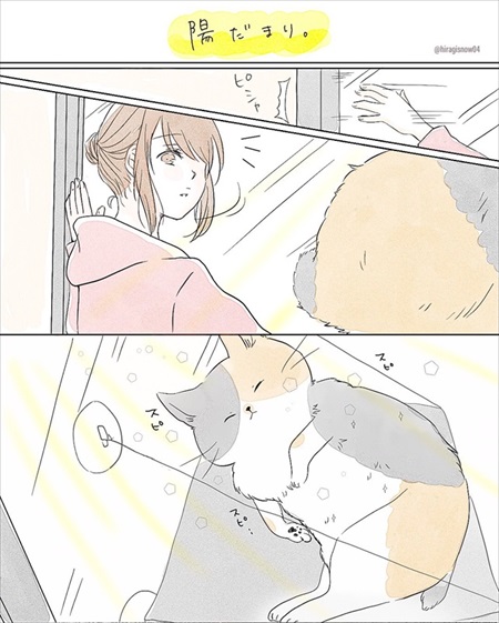 わんことのお散歩で気にして欲しいこと