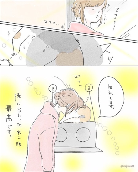 わんことのお散歩で気にして欲しいこと