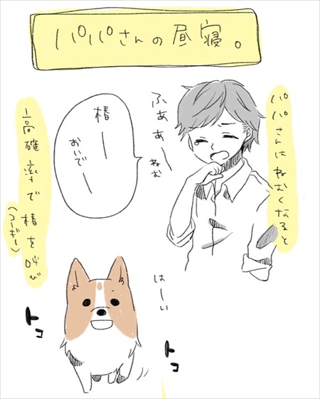 わんことのお散歩で気にして欲しいこと