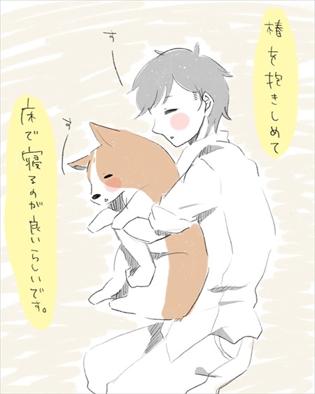 わんことのお散歩で気にして欲しいこと