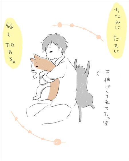 わんことのお散歩で気にして欲しいこと