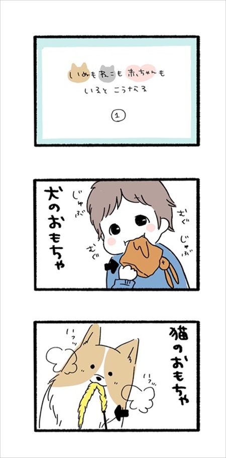 わんことのお散歩で気にして欲しいこと