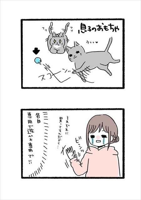 わんことのお散歩で気にして欲しいこと