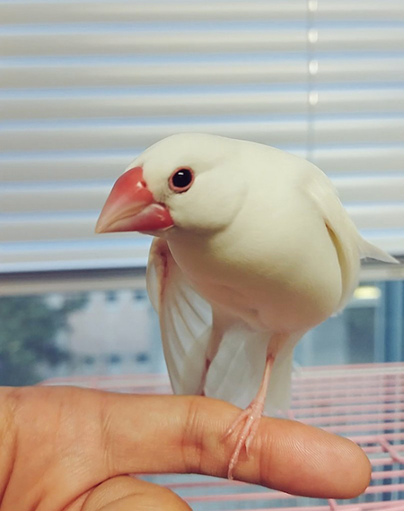 美脚ルブランさん