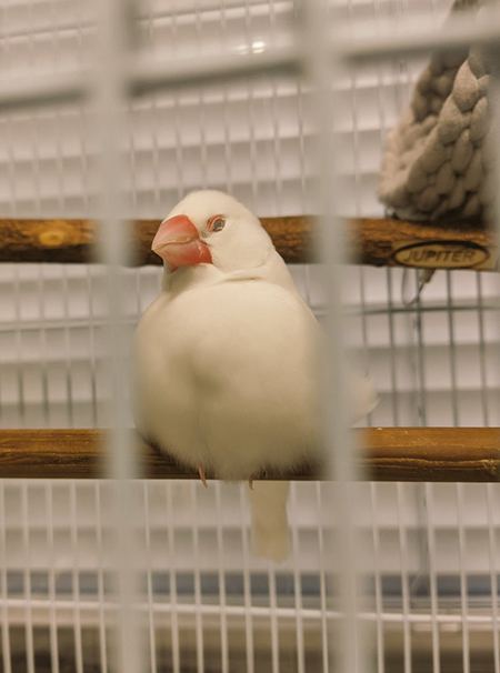 眠るルブランさん