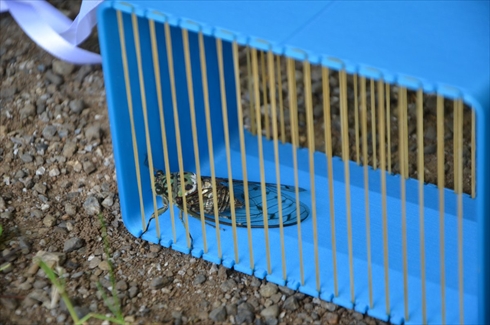 虫かご 3Dプリンター