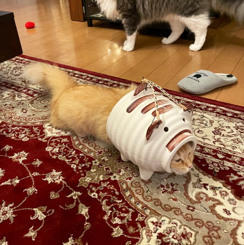 蚊取りアーマー装備エマちゃん